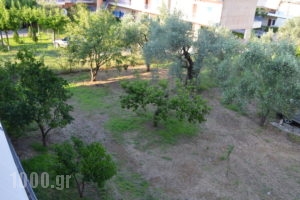 Loula_best prices_in_Hotel_Central Greece_Fthiotida_Kamena Vourla