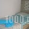 Blue Dream Hotel_best deals_Hotel_Macedonia_Pieria_Olympiaki Akti