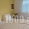 Ikion Studios_best deals_Hotel_Sporades Islands_Alonnisos_Alonissosst Areas