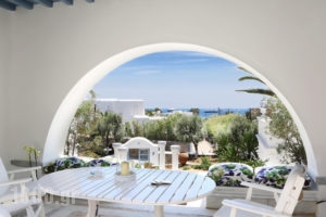 La Terrasse_lowest prices_in_Room_Cyclades Islands_Mykonos_Psarou
