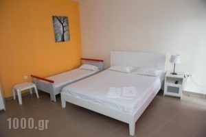 Rooms Elena_holidays_in_Room_Macedonia_Halkidiki_Nea Potidea