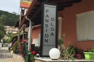Pansion Olga_best prices_in_Room_Epirus_Preveza_Parga