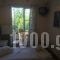 Afrodite_best deals_Hotel_Cyclades Islands_Tinos_Kionia