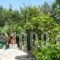 Villa Fenia_travel_packages_in_Cyclades Islands_Amorgos_Aegiali