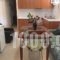 Studios Elena_best deals_Room_Aegean Islands_Lesvos_Lesvos Rest Areas