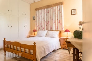 Filothei Apartments_lowest prices_in_Room_Peloponesse_Messinia_Kalamata