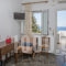 Parathyro Sto Aigaio 1_best deals_Apartment_Cyclades Islands_Tinos_Tinos Chora