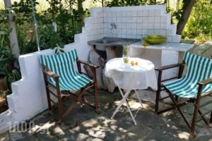 Samothraki Villa Michalis_holidays_in_Villa_Aegean Islands_Samothraki_Samothraki Rest Areas