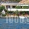 Studios Alexandra_holidays_in_Hotel_Sporades Islands_Skopelos_Skopelos Chora