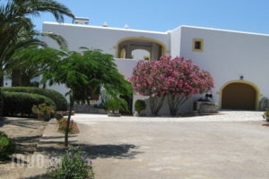 Cerigo House_holidays_in_Room_Piraeus Islands - Trizonia_Kithira_Kithira Rest Areas