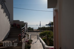 Studios Alcioni_holidays_in_Apartment_Cyclades Islands_Andros_Andros Chora