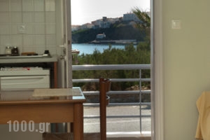 Studios Alcioni_lowest prices_in_Apartment_Cyclades Islands_Andros_Andros Chora