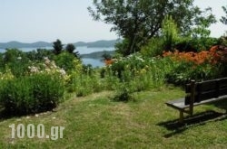 Guesthouse Mitsiopoulou in Zakinthos Rest Areas, Zakinthos, Ionian Islands