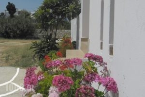 Studios Parian Blu_best prices_in_Hotel_Cyclades Islands_Antiparos_Antiparos Chora