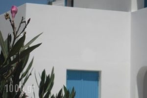 Studios Parian Blu_travel_packages_in_Cyclades Islands_Antiparos_Antiparos Chora