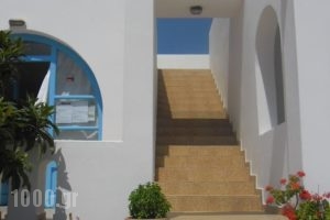 Studios Parian Blu_holidays_in_Hotel_Cyclades Islands_Antiparos_Antiparos Chora