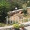 Villa Vista_holidays_in_Villa_Peloponesse_Argolida_Kiveri