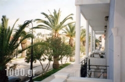 Blue Paradise Studios in Argostoli, Kefalonia, Ionian Islands