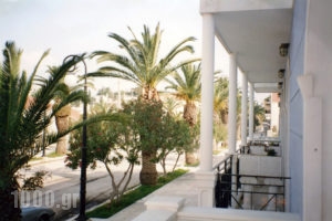 Blue Paradise Studios_accommodation_in_Apartment_Ionian Islands_Kefalonia_Argostoli