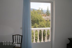 Blue Paradise Studios_lowest prices_in_Apartment_Ionian Islands_Kefalonia_Argostoli