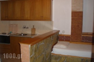 Eleni's_holidays_in_Apartment_Crete_Lasithi_Koutsounari