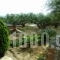 Paradise Apartments_best deals_Room_Crete_Lasithi_Ierapetra