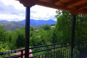 Dafni Apartments_holidays_in_Room_Peloponesse_Arcadia_Kastri