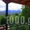 Dafni Apartments_holidays_in_Room_Peloponesse_Arcadia_Kastri