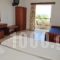 Dias Studios And Apartments_best deals_Apartment_Crete_Chania_Agia Marina