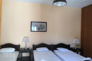 Virvilis_accommodation_in_Room_Epirus_Thesprotia_Polineri