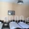 Virvilis_accommodation_in_Room_Epirus_Thesprotia_Polineri