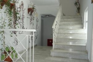 Zorbas Hotel & Studios_best prices_in_Hotel_Aegean Islands_Samos_Pythagorio