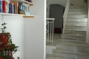 Zorbas Hotel & Studios_lowest prices_in_Hotel_Aegean Islands_Samos_Pythagorio
