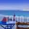 Dream View_accommodation_in_Hotel_Cyclades Islands_Naxos_Stelida