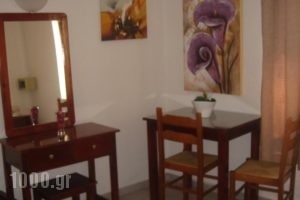 Iliaktida Apartments_holidays_in_Apartment_Crete_Chania_Kamisiana