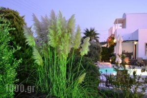 Anthonas Apartments_holidays_in_Apartment_Cyclades Islands_Sandorini_Sandorini Chora