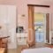 Sea Colours Rooms & Apartments_holidays_in_Room_Cyclades Islands_Syros_Syrosora