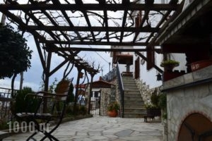 Villa Dryanouvaina_holidays_in_Villa_Thessaly_Magnesia_Portaria