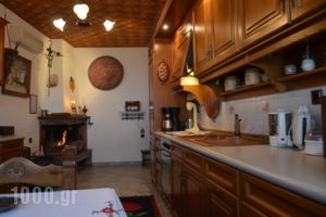 Villa Dryanouvaina_best prices_in_Villa_Thessaly_Magnesia_Portaria