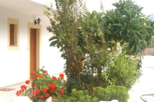 Zoe Studios_best prices_in_Apartment_Dodekanessos Islands_Karpathos_Karpathosora