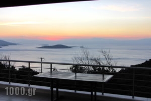 Villa Marmari_accommodation_in_Villa_Central Greece_Evia_Marmari