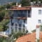 Sea View_best prices_in_Apartment_Sporades Islands_Skopelos_Skopelos Chora