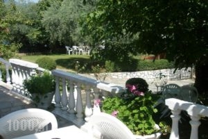 Viki Studios and Apartments_best prices_in_Apartment_Aegean Islands_Thassos_Limenaria