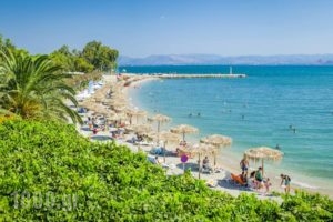 Pension Zephyros_travel_packages_in_Peloponesse_Arcadia_Astros