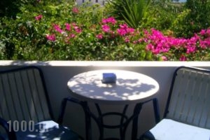Galini Pension_holidays_in_Hotel_Cyclades Islands_Ios_Ios Chora