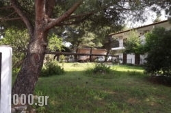 Pefka Studios & Apartments in Pythagorio, Samos, Aegean Islands
