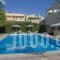 Domenica Apartments_holidays_in_Apartment_Crete_Rethymnon_Rethymnon City