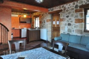 Pikoulianika Apartments_holidays_in_Apartment_Peloponesse_Lakonia_Mystras