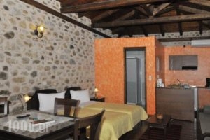 Pikoulianika Apartments_best deals_Apartment_Peloponesse_Lakonia_Mystras