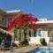 Cormoranos Apartments_accommodation_in_Apartment_Crete_Chania_Kissamos